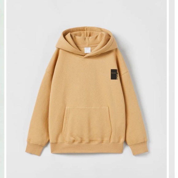 ZARA HOODED SWEATSHIRT | ZARA BOYS - Picture 1 of 8